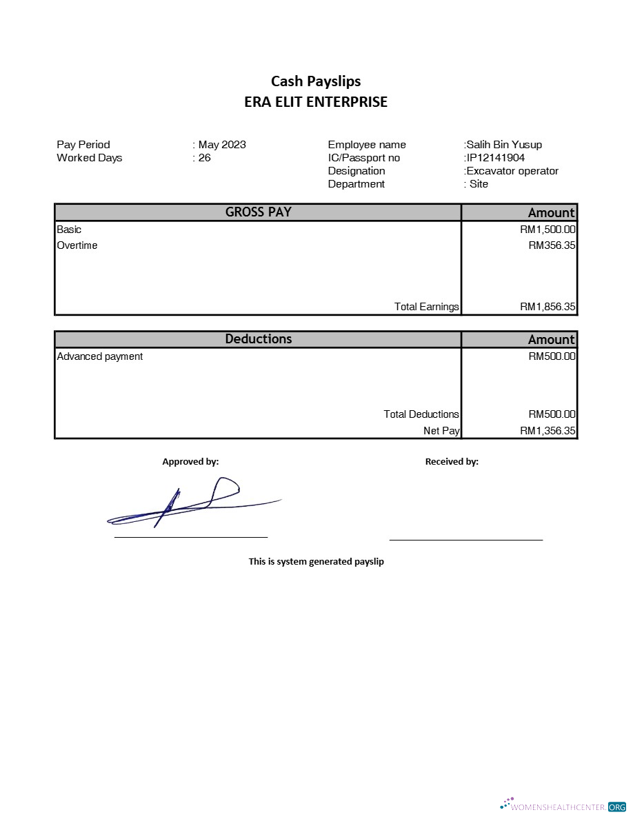 Download Era Elit Enterprise payslip template in Word and PDF formats.pdf, 1 Photoshop template